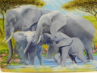 Obrázek z Magnet 3D 7x9cm - sloni (25) 